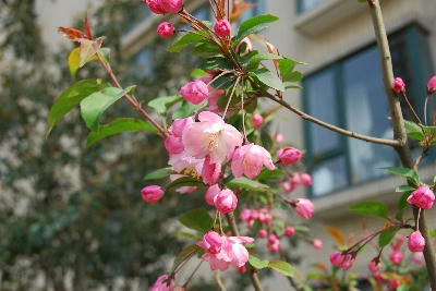 DSC_1441.jpg