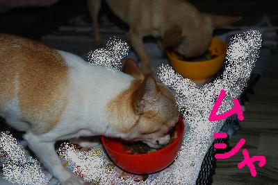 DSC_1681.jpg