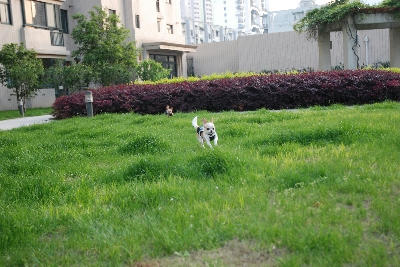 DSC_1843.jpg