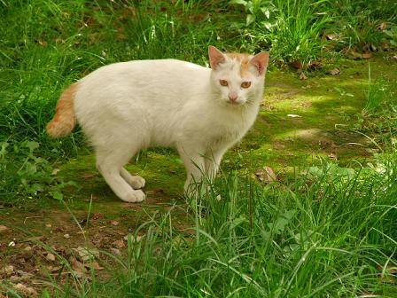 SANY0938.JPG
