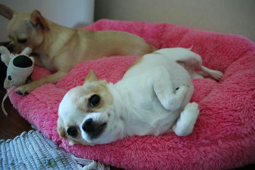 DSC_2635.JPG
