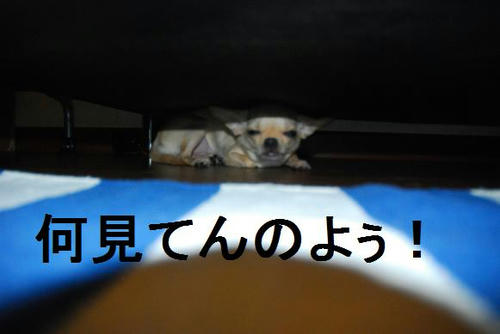 DSC_3093.JPG
