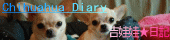 chihuahua4.GIF