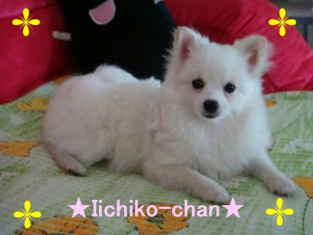 DSC01339.JPG