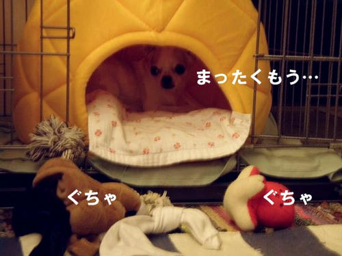 PB030141.JPG