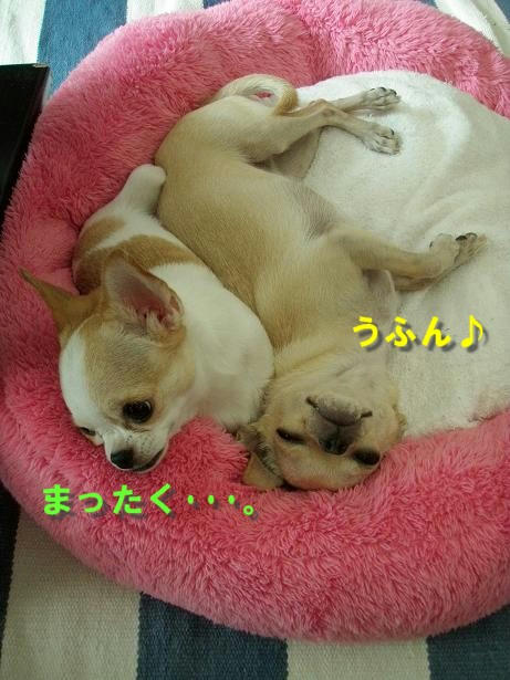 PB060151.JPG