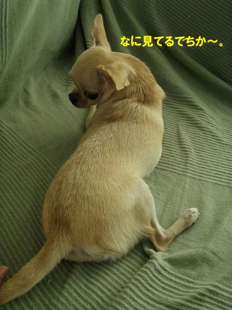 PB060142.JPG