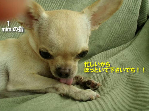 PB060145.JPG