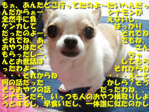 PB060131.JPG