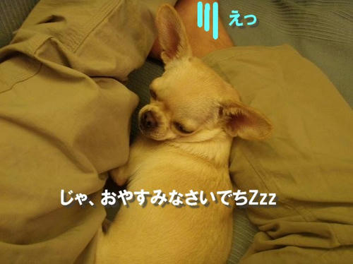 PB260245.JPG