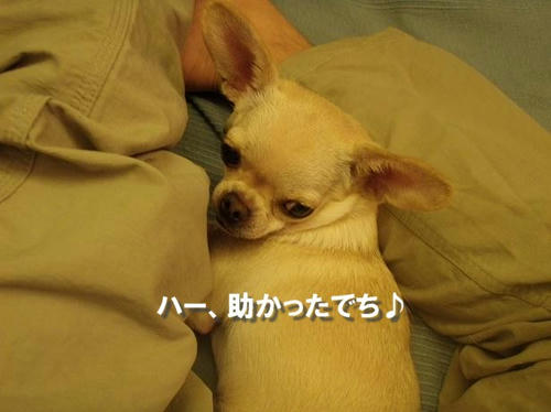 PB260246.JPG