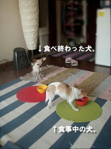 PB270249.JPG