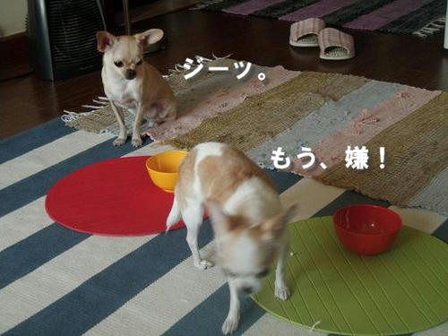 PB270252.JPG