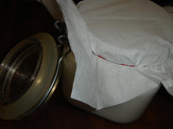 DSC01519.JPG