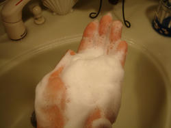 DSC01920.JPG
