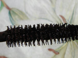 DSC02140.JPG
