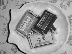 DSC02544-1.jpg
