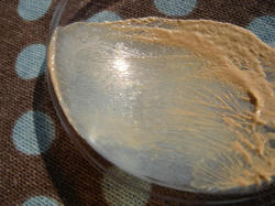 J.M-2.JPG