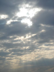 kumo8361.JPG
