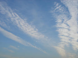 DSC03447.JPG
