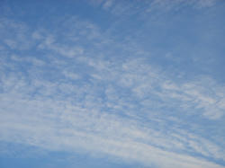 DSC03448.JPG