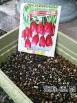 2008051903.jpg