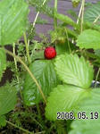 2008051904.jpg