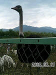 2008062103.jpg