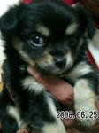 2008062601.jpg