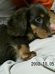 2008100801.jpg