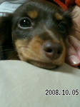 2008100802.jpg