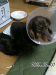 2009020802.jpg