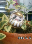 2009020803.jpg