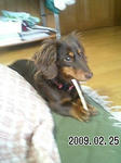 2009030302.jpg