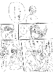 imeg-heta12.gif