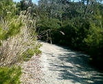 200904071530000.jpg