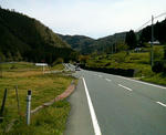200904241323000.jpg