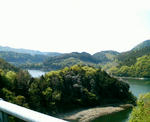 200904291323000.jpg