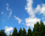 P1000005.jpg