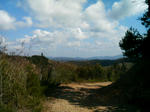 P1000020.jpg