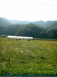 P1000036.jpg