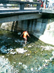P1000042.jpg