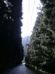 08405d53.jpg