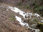 e602d742.jpg