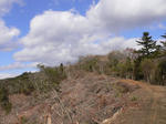 a772ab61.jpg