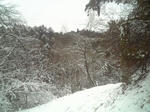 100214_124729.jpg