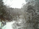 100214_125142.jpg
