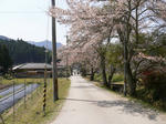 33519d23.jpg