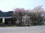 fe567fbb.jpg