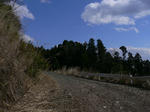 a36d0f86.jpg
